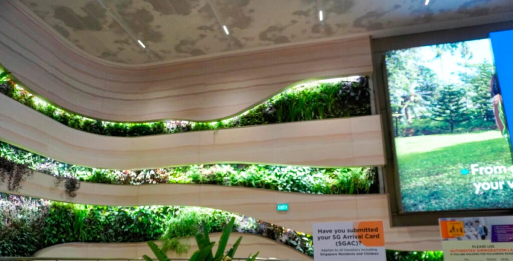 arquitectura medica con diseño biofilico en México artedi
